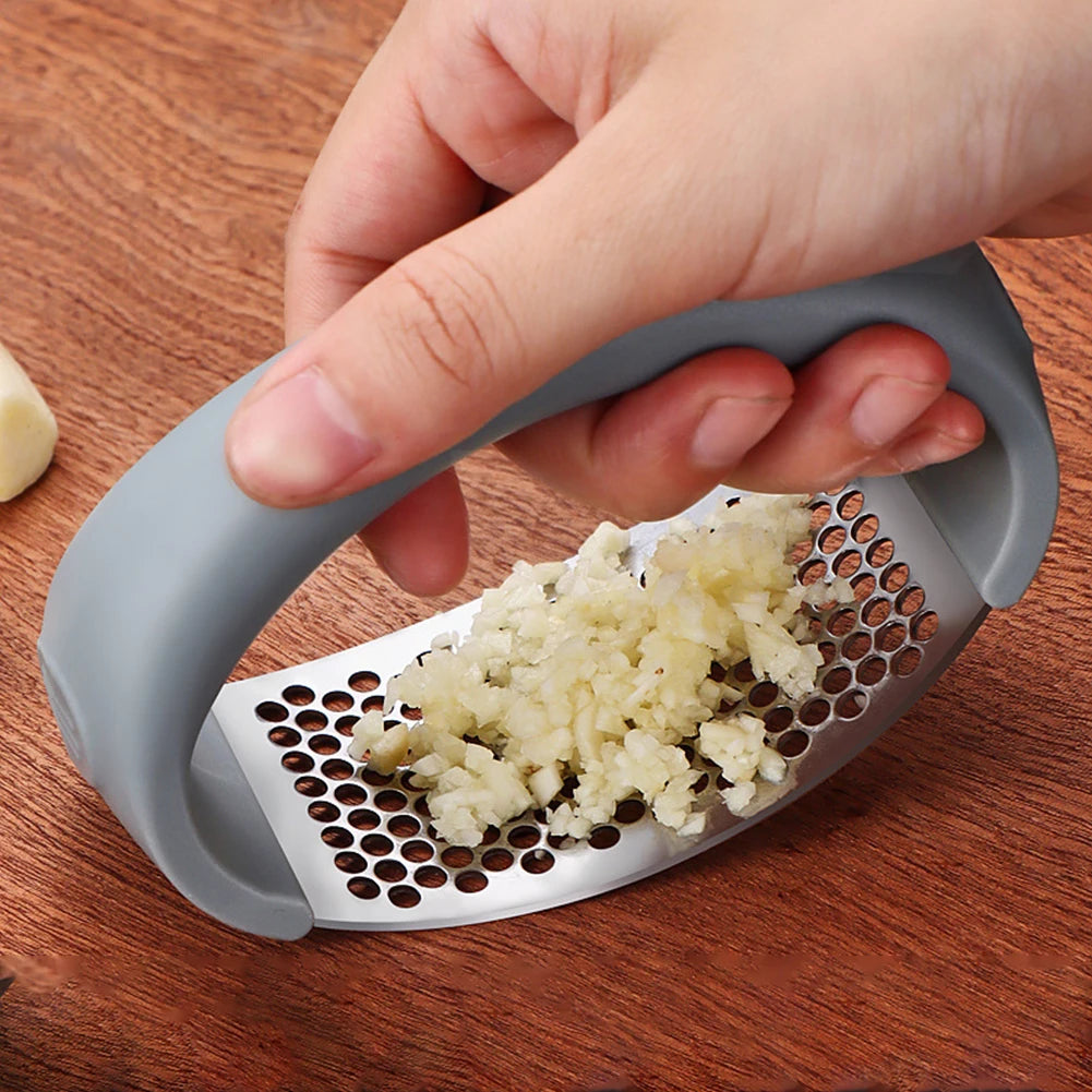 Stainless Steel Garlic Press